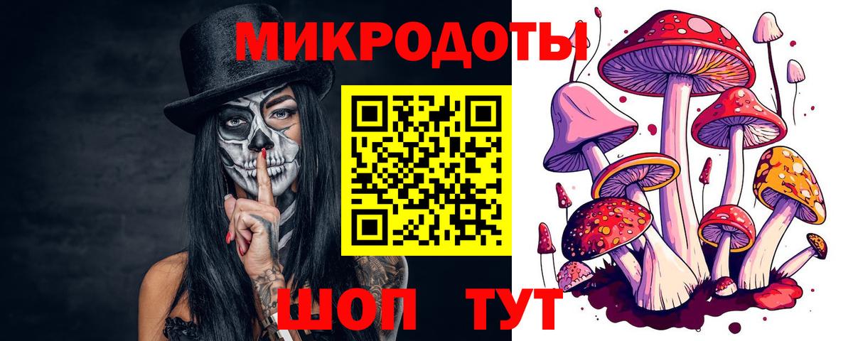 Галлюциногенные грибы прущие грибы Будённовск
